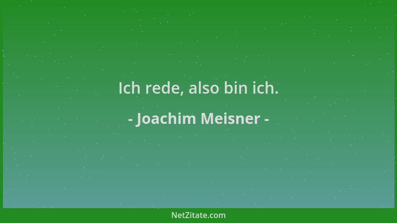 Joachim Meisner - Ich rede, also bin ich....