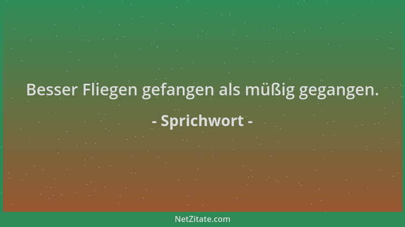 Sprichwort - Besser Fliegen gefangen als müßig gegangen....