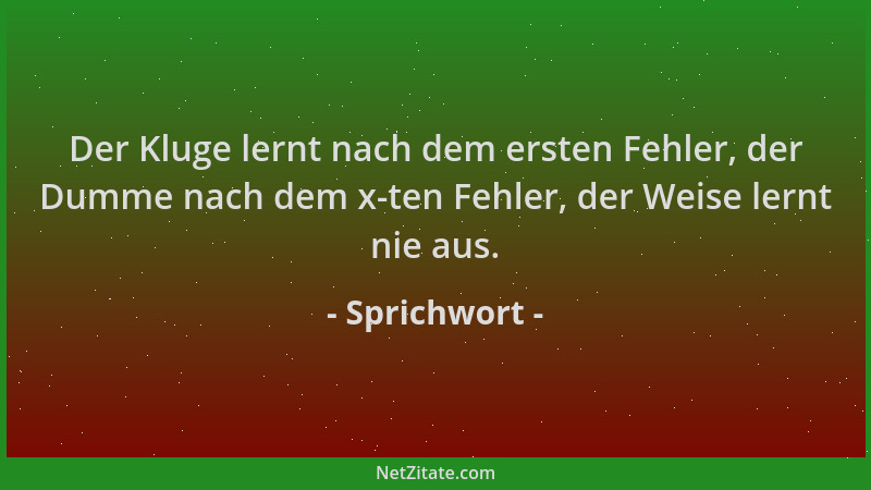 Sprichwort - Der Kluge lernt nach dem ersten Fehler, der Dumme nach dem x-ten Fehler, der Weise lernt nie aus....