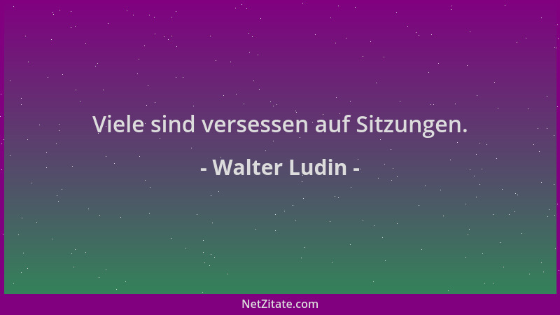 Walter Ludin - Viele sind versessen auf Sitzungen....