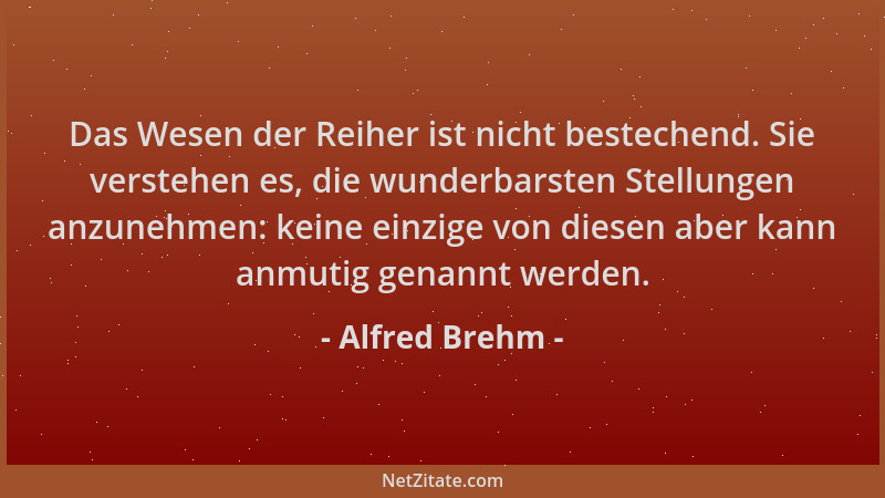 Alfred Brehm - Das Wesen der Reiher ist nicht bestechend. Sie verstehen es, die wunderbarsten Stellungen anzunehmen: keine...