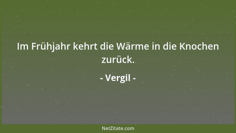 Vergil - Dem Wagemutigen hilft das Glück!...
