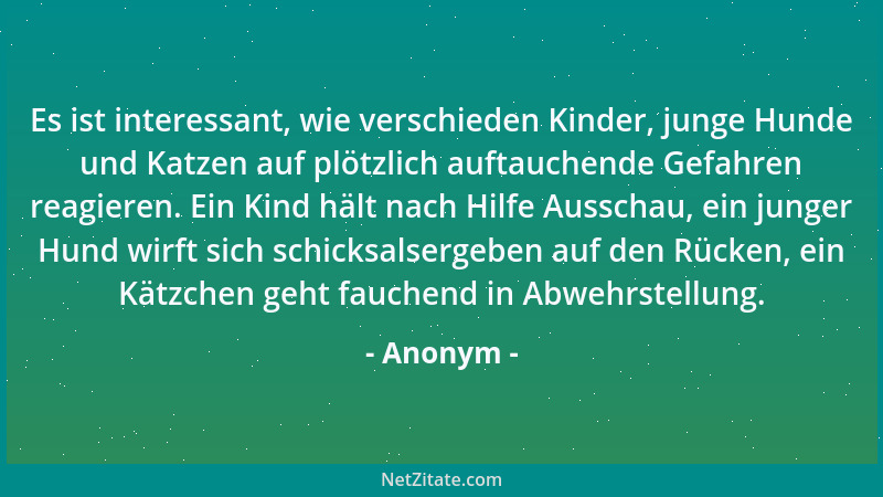 Anonym - Es ist interessant, wie verschieden Kinder, junge Hunde und Katzen auf plötzlich auftauchende Gefahren reagieren....