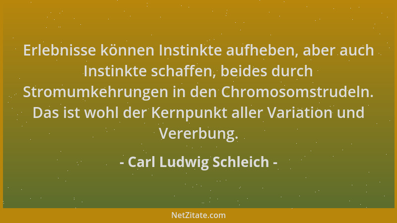 Carl Ludwig Schleich - Erlebnisse können Instinkte aufheben, aber auch Instinkte schaffen, beides durch Stromumkehrungen in...