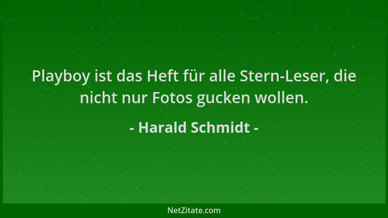 Harald Schmidt - Playboy ist das Heft für alle Stern-Leser, die nicht nur Fotos gucken wollen....