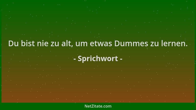 Sprichwort - Du bist nie zu alt, um etwas Dummes zu lernen....