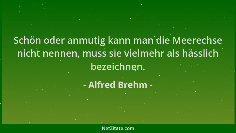 Alfred Brehm - Schön oder anmutig kann man die Meerechse nicht nennen, muss sie vielmehr als hässlich bezeichnen....