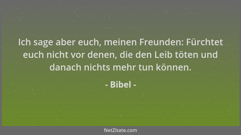 Bibel - Ich sage aber euch, meinen Freunden: Fürchtet euch nicht vor denen, die den Leib töten und danach nichts mehr tun k...