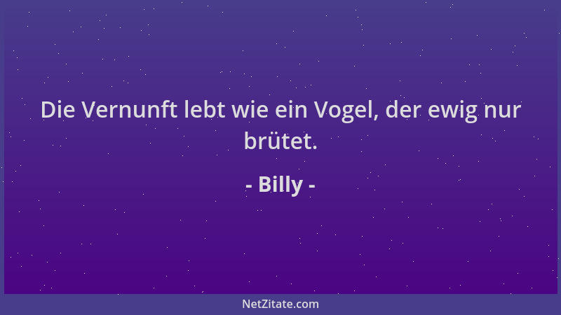 Billy - Die Vernunft lebt wie ein Vogel, der ewig nur brütet....