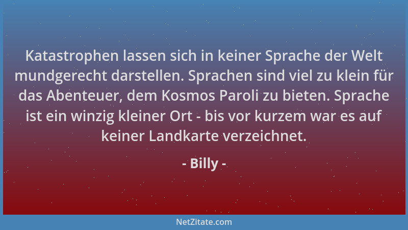 Billy - Katastrophen lassen sich in keiner Sprache der Welt mundgerecht darstellen. Sprachen sind viel zu klein für das Abe...