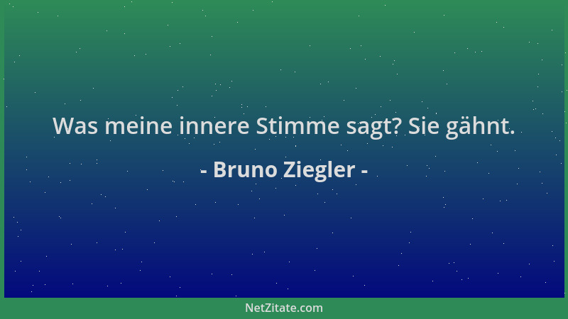 Bruno Ziegler - Was meine innere Stimme sagt? Sie gähnt....