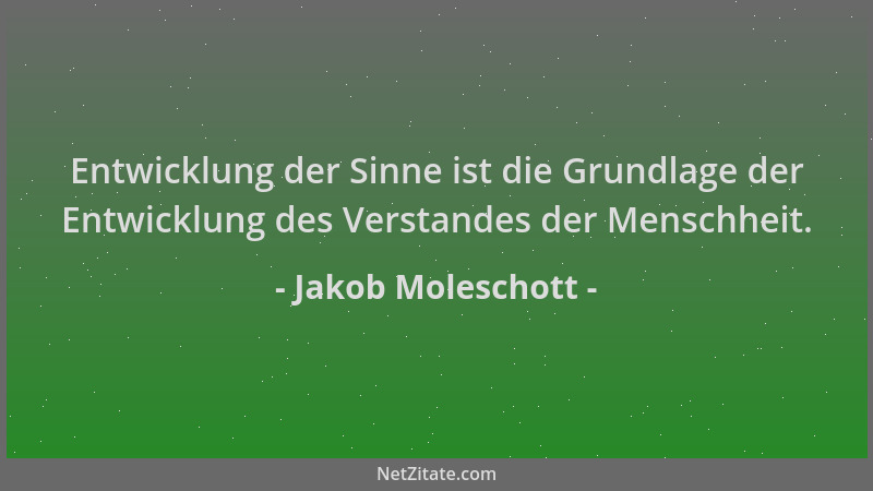Jakob Moleschott - Entwicklung der Sinne ist die Grundlage der Entwicklung des Verstandes der Menschheit....