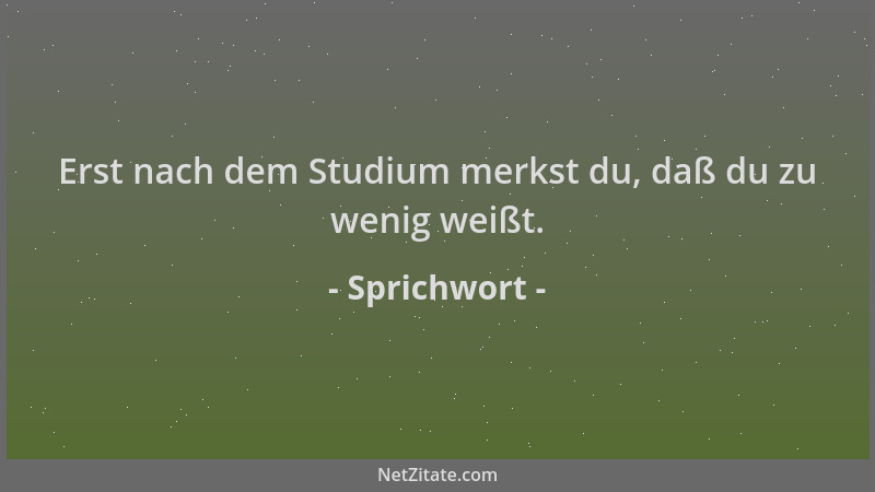 Sprichwort - Erst nach dem Studium merkst du, daß du zu wenig weißt....