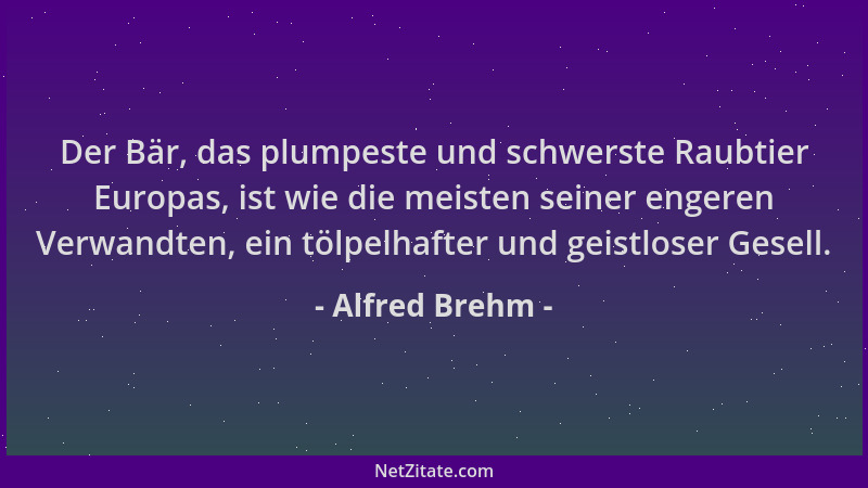 Alfred Brehm - Der Bär, das plumpeste und schwerste Raubtier Europas, ist wie die meisten seiner engeren Verwandten, ein tö...