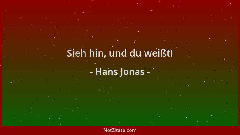 Hans Jonas - Sieh hin, und du weißt!...
