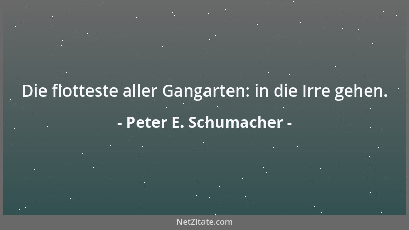 Peter E. Schumacher - Die flotteste aller Gangarten: in die Irre gehen....