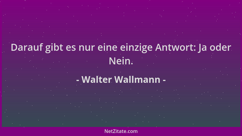 Walter Wallmann - Darauf gibt es nur eine einzige Antwort: Ja oder Nein....