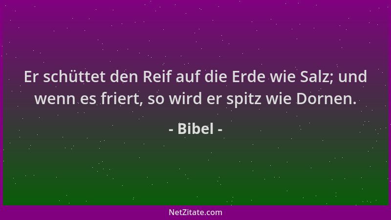 Bibel - Er schüttet den Reif auf die Erde wie Salz; und wenn es friert, so wird er spitz wie Dornen....
