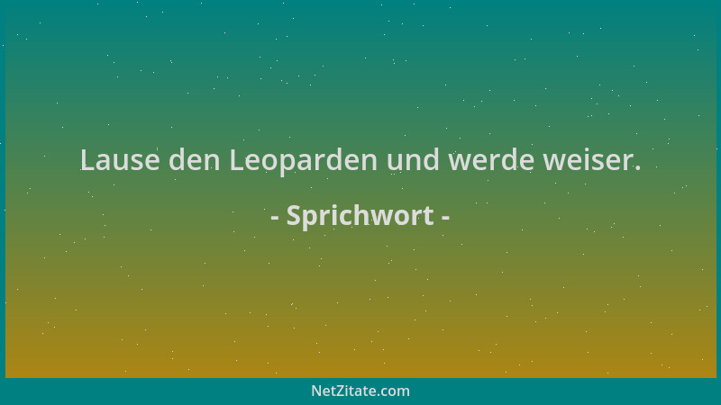 Sprichwort - Lause den Leoparden und werde weiser....