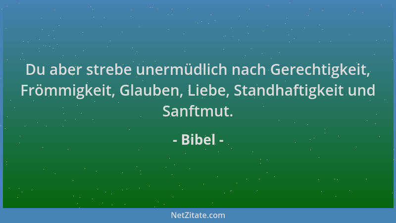 Bibel - Du aber strebe unermüdlich nach Gerechtigkeit, Frömmigkeit, Glauben, Liebe, Standhaftigkeit und Sanftmut....