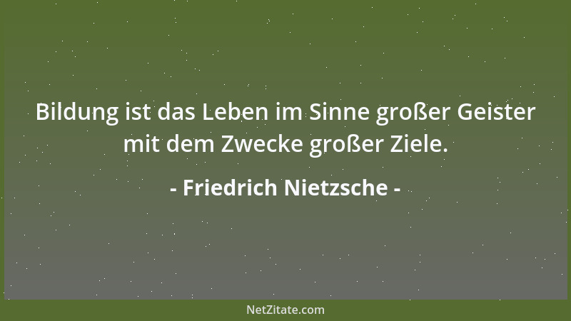 Friedrich Nietzsche - Es ist nicht genug Liebe und Güte in der Welt, um noch davon an eingebildete Wesen wegschenken zu dür...