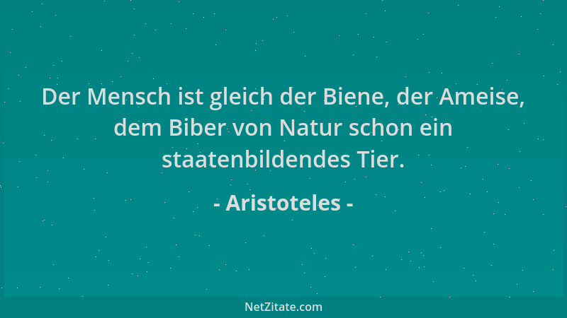 Aristoteles - Der Mensch ist gleich der Biene, der Ameise, dem Biber von Natur schon ein staatenbildendes Tier....