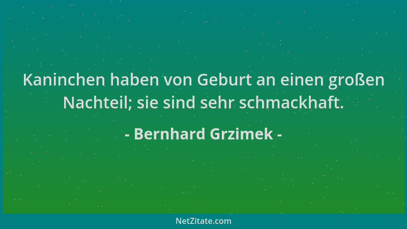 Bernhard Grzimek - Kaninchen haben von Geburt an einen großen Nachteil; sie sind sehr schmackhaft....