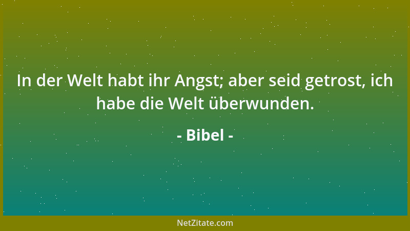 Bibel - In der Welt habt ihr Angst; aber seid getrost, ich habe die Welt überwunden....