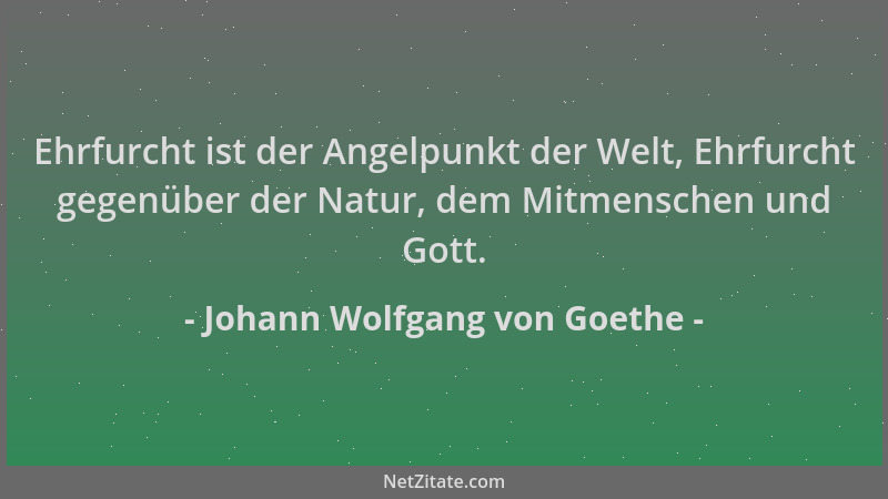 Johann Wolfgang von Goethe - Ehrfurcht ist der Angelpunkt der Welt, Ehrfurcht gegenüber der Natur, dem Mitmenschen und Gott...
