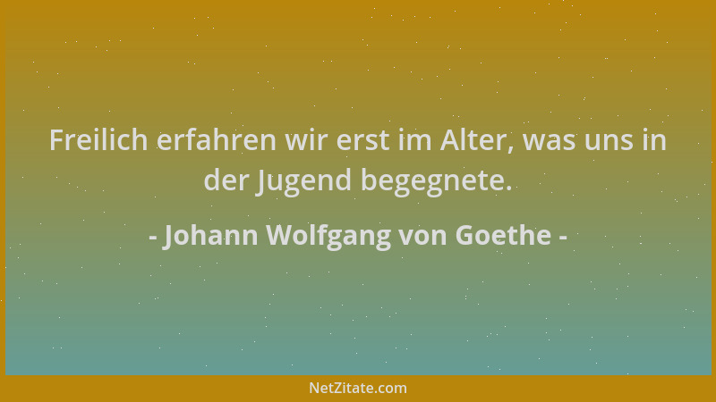 Johann Wolfgang von Goethe - Freilich erfahren wir erst im Alter, was uns in der Jugend begegnete....