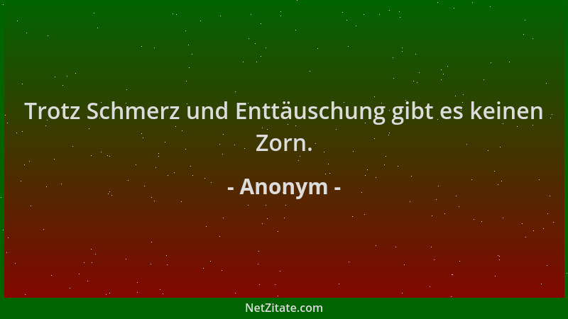 Anonym - Trotz Schmerz und Enttäuschung gibt es keinen Zorn....