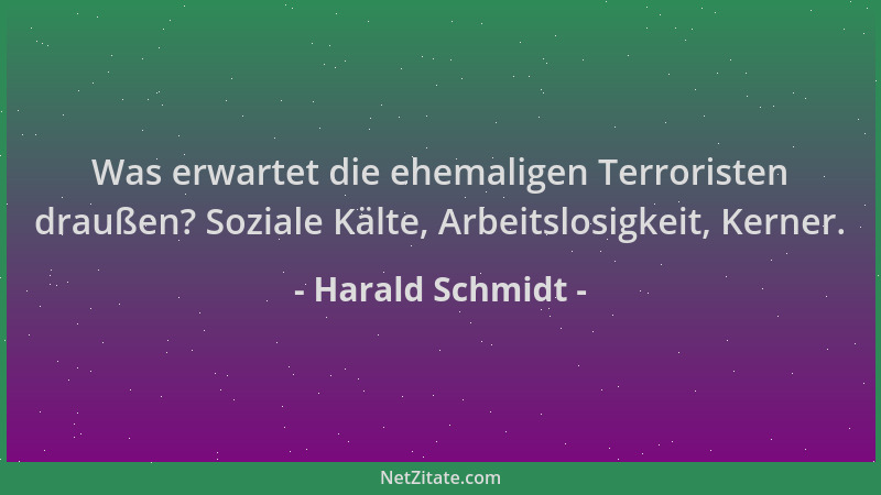 Harald Schmidt - Was erwartet die ehemaligen Terroristen draußen? Soziale Kälte, Arbeitslosigkeit, Kerner....
