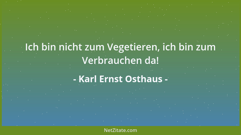 Karl Ernst Osthaus - Ich bin nicht zum Vegetieren, ich bin zum Verbrauchen da!...