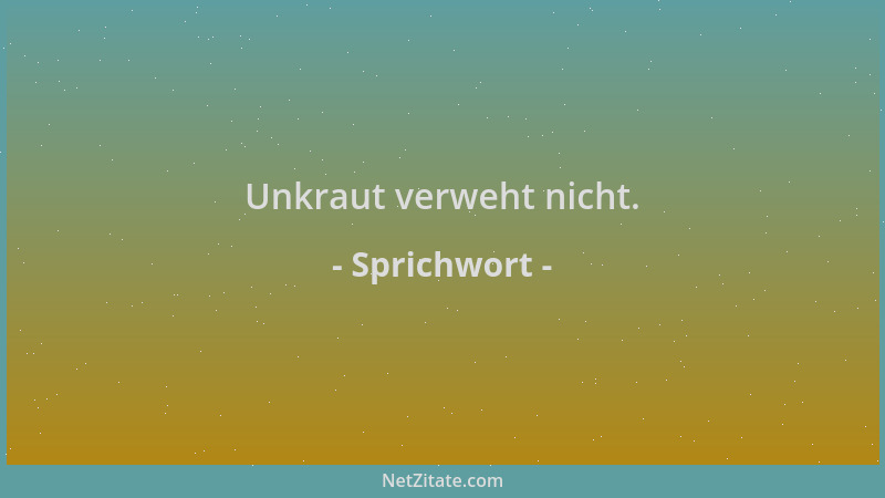 Sprichwort - Unkraut verweht nicht....
