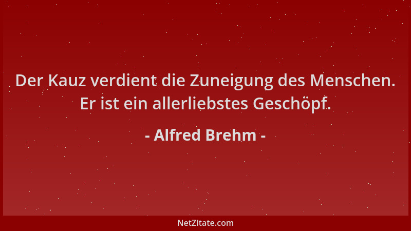 Alfred Brehm - Der Kauz verdient die Zuneigung des Menschen. Er ist ein allerliebstes Geschöpf....