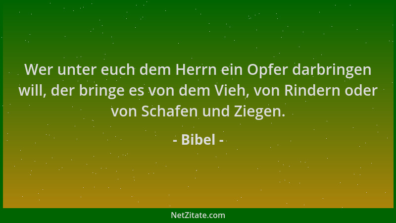 Bibel - Wer unter euch dem Herrn ein Opfer darbringen will, der bringe es von dem Vieh, von Rindern oder von Schafen und Zi...