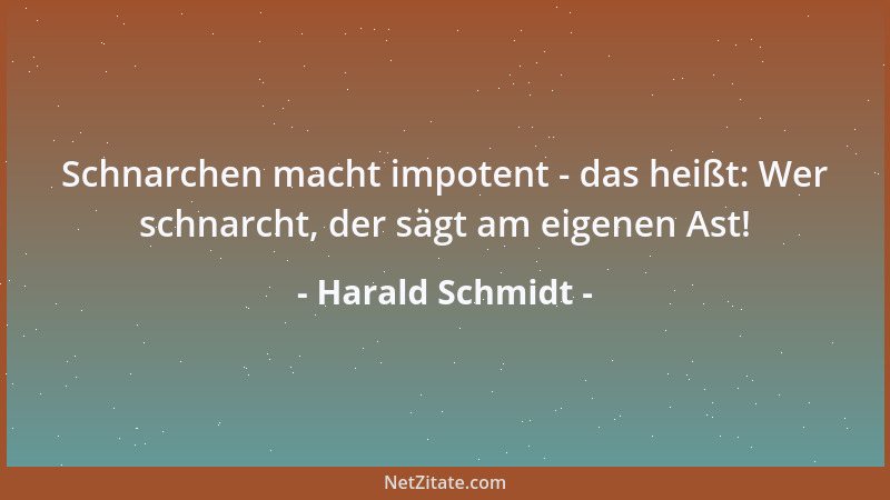 Harald Schmidt - Schnarchen macht impotent - das heißt: Wer schnarcht, der sägt am eigenen Ast!...