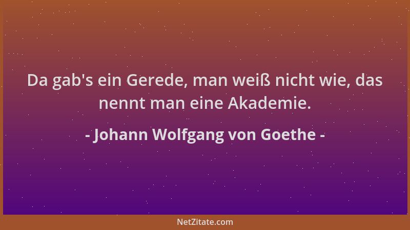 Johann Wolfgang von Goethe - Da gab 's ein Gerede, man weiß nicht wie, das nennt man eine Akademie....