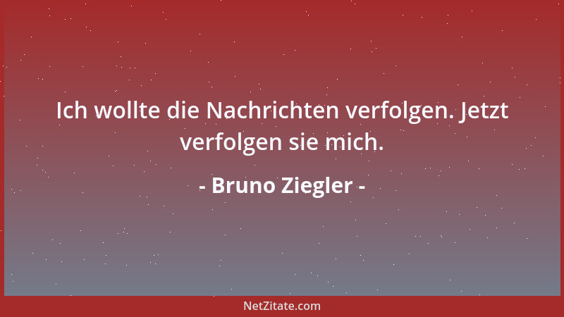 Bruno Ziegler - Ich wollte die Nachrichten verfolgen. Jetzt verfolgen sie mich....