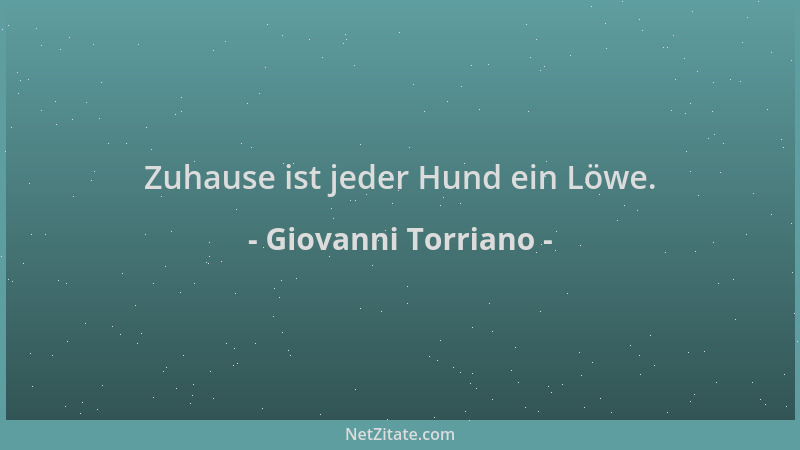 Giovanni Torriano - Zuhause ist jeder Hund ein Löwe....