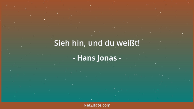 Hans Jonas - Sieh hin, und du weißt!...