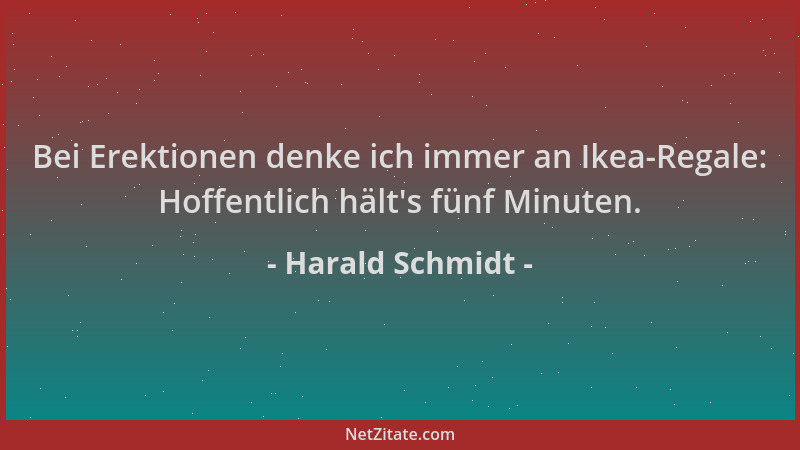Harald Schmidt - Bei Erektionen denke ich immer an Ikea-Regale: Hoffentlich hält 's fünf Minuten....