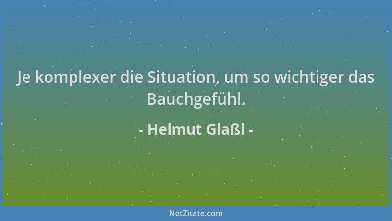 Helmut Glaßl - Je komplexer die Situation, um so wichtiger das Bauchgefühl....