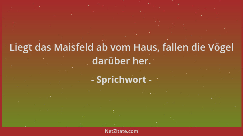 Sprichwort - Liegt das Maisfeld ab vom Haus, fallen die Vögel darüber her....