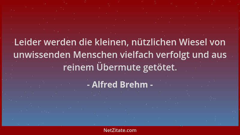 Alfred Brehm - Leider werden die kleinen, nützlichen Wiesel von unwissenden Menschen vielfach verfolgt und aus reinem Überm...