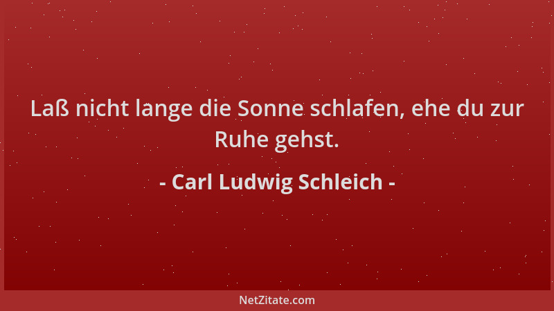 Carl Ludwig Schleich - Laß nicht lange die Sonne schlafen, ehe du zur Ruhe gehst....