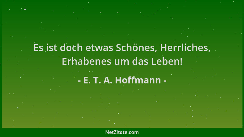 E. T. A. Hoffmann - Es ist doch etwas Schönes, Herrliches, Erhabenes um das Leben!...