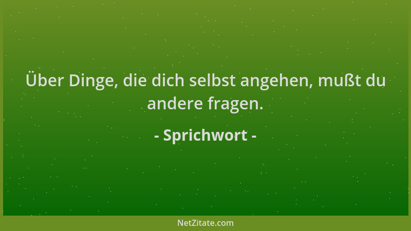 Sprichwort - Über Dinge, die dich selbst angehen, mußt du andere fragen....