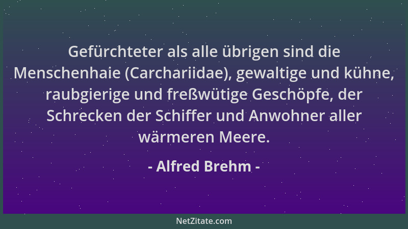 Alfred Brehm - Gefürchteter als alle übrigen sind die Menschenhaie (Carchariidae), gewaltige und kühne, raubgierige und fre...