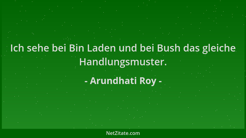 Arundhati Roy - Ich sehe bei Bin Laden und bei Bush das gleiche Handlungsmuster....
